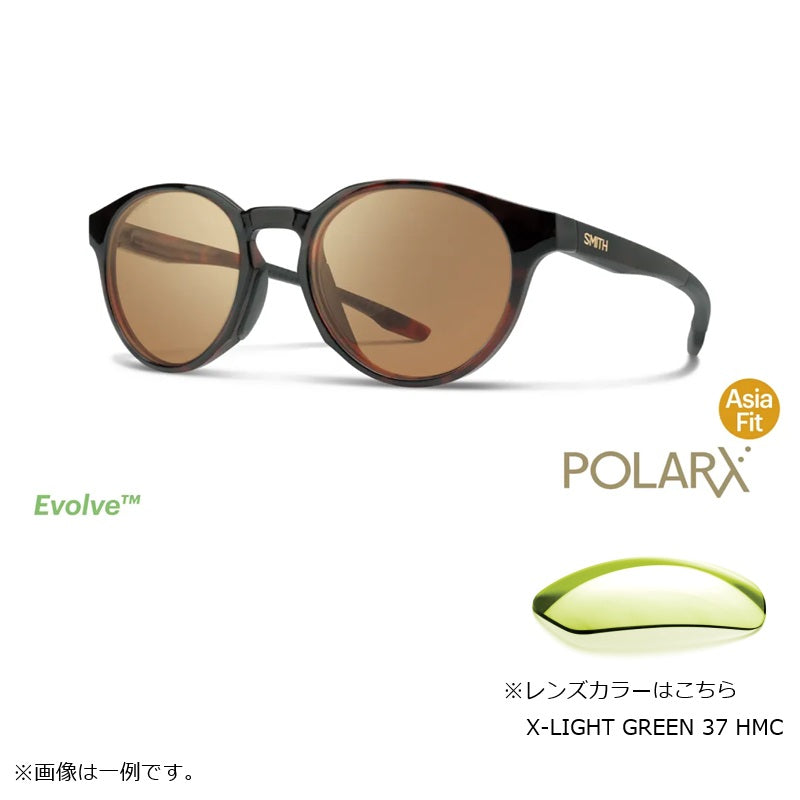 サーク POLARX Cirque Tortoise X-Light Green 37 Hard & Multi-Coat