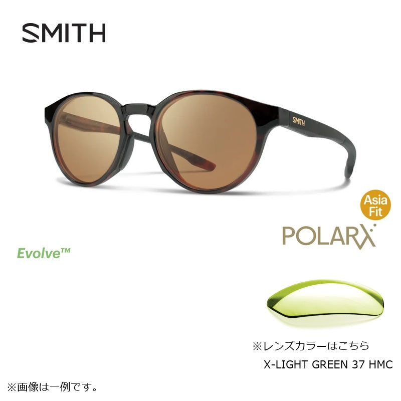 サーク POLARX Cirque Tortoise X-Light Green 37 Hard & Multi-Coat