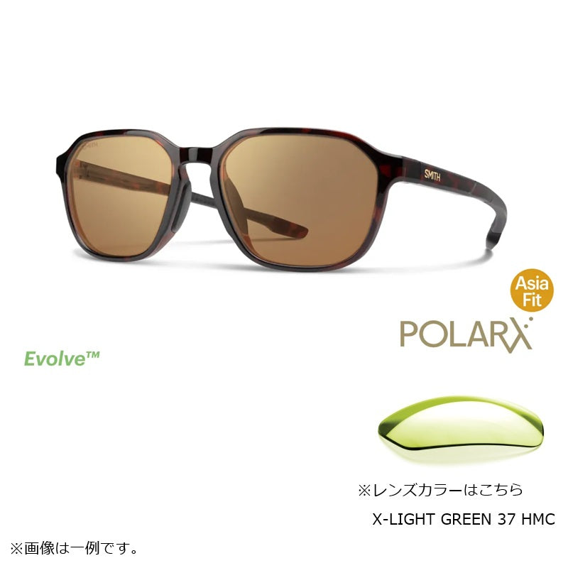 ウェイポイント POLARX Waypoint Tortoise X-Light Green 37 Hard & Multi-Coat