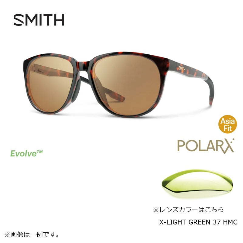 シーカー POLARX Seeker Tortoise X-Light Green 37 Hard & Multi-Coat