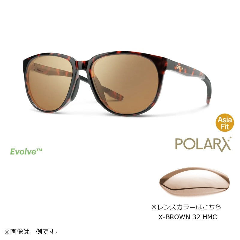 シーカー POLARX Seeker Tortoise X-Brown 32 Hard & Multi-Coat