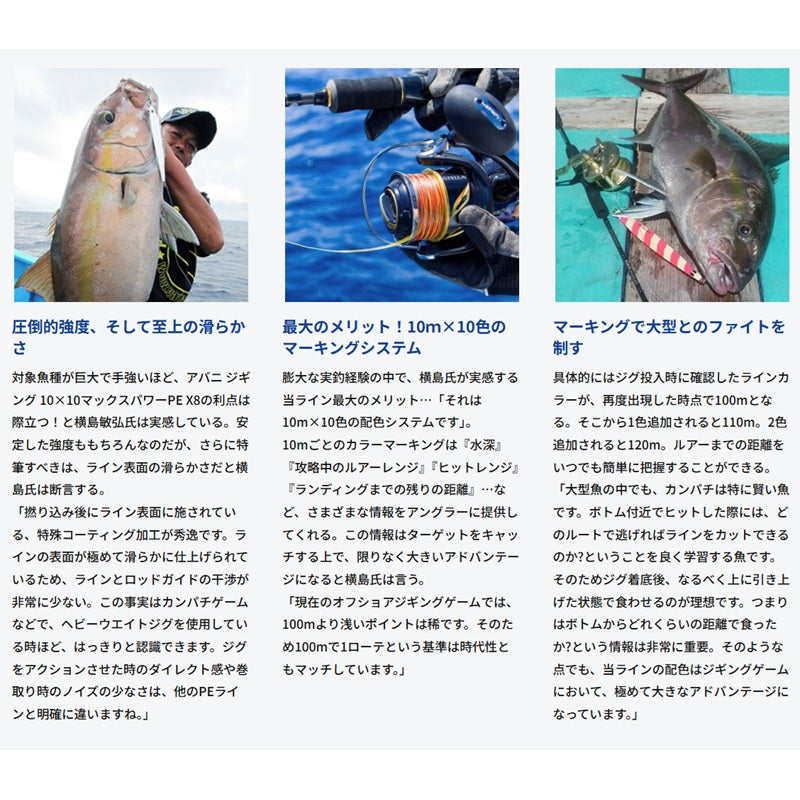 アバニ ジギング10×10マックスパワーPE X8 500m
