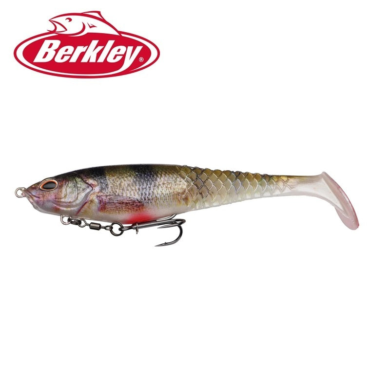 カルシャッド 6インチ