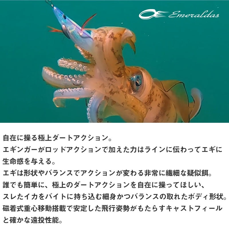 エメラルダス ダートLC タイプS 3.0号