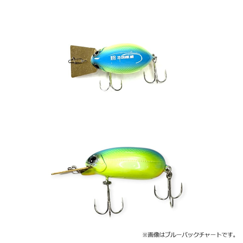 25 クランク BL