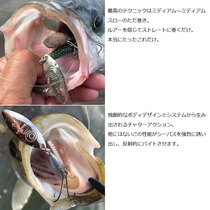 26 BC-16 バックチャター 16g