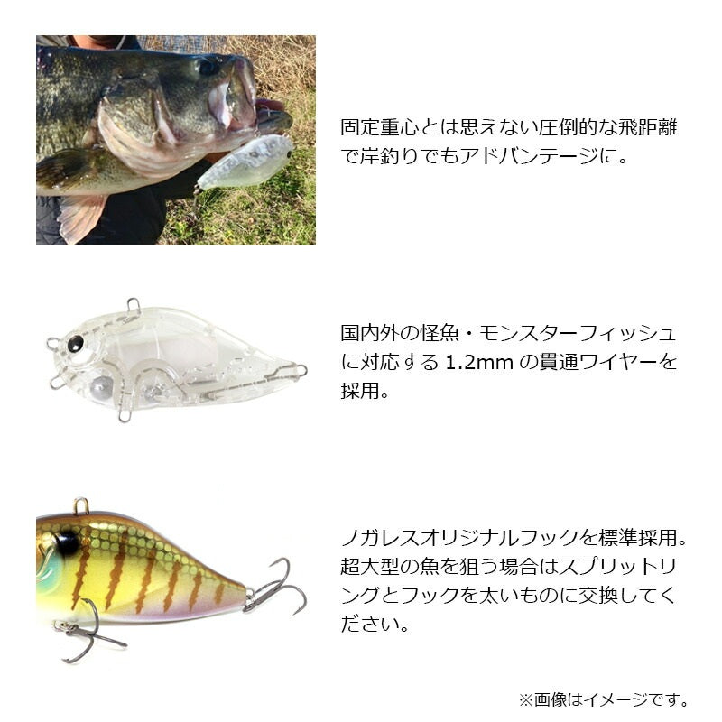 エヌグリーディー ノーマルモデル バスカラー
