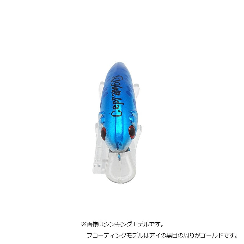 チェプラム 60F